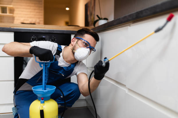 Best Mosquito Control Services  in Mount Pleasant, TX