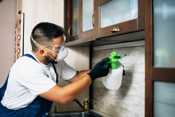 Best Pest Control Near Me in Mount Pleasant, TX