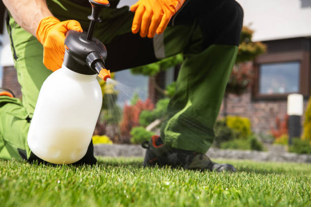 Best Rodent Control Near Me  in Mount Pleasant, TX