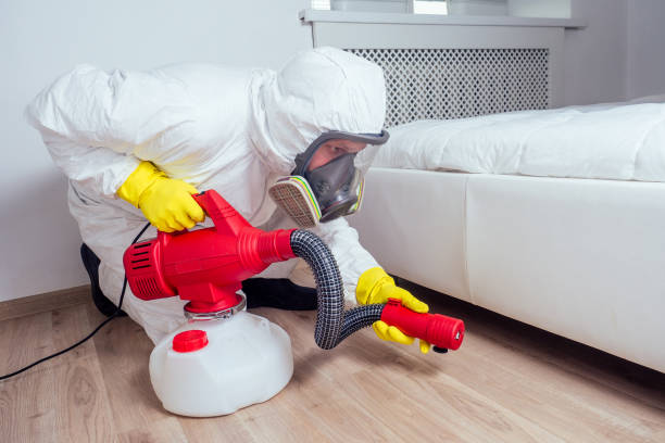 Mount Pleasant, TX Pest Control Company