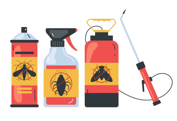 Best Affordable Pest Control Services  in Mount Pleasant, TX